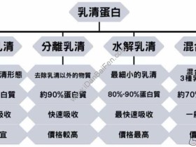乳清蛋白种类比较:混合、浓缩、水解、分离乳清蛋白