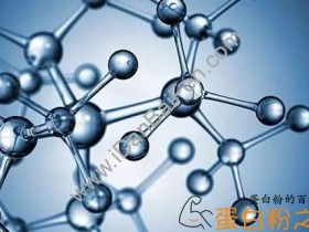 什么是必需氨基酸?人体必需氨基酸有几种?