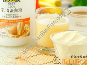 乳清蛋白粉的作用和功效有哪些?