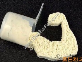 蛋白粉含有激素吗?吃蛋白粉是不是不好?