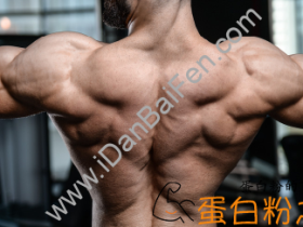 增肌粉副作用是什么?增肌粉会影响肾脏功能吗?