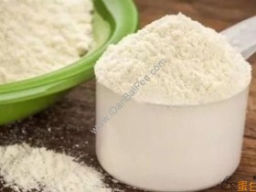 不健身的人能喝蛋白粉吗?